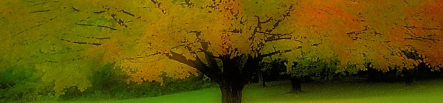 ASSOCIAZIONE NUOVA SCUOLA SERENA Rotating Header Image
